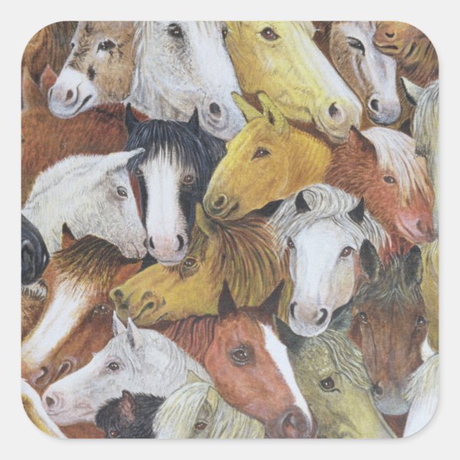 Pegatina Cuadrada Caballos de caballos (Anverso)