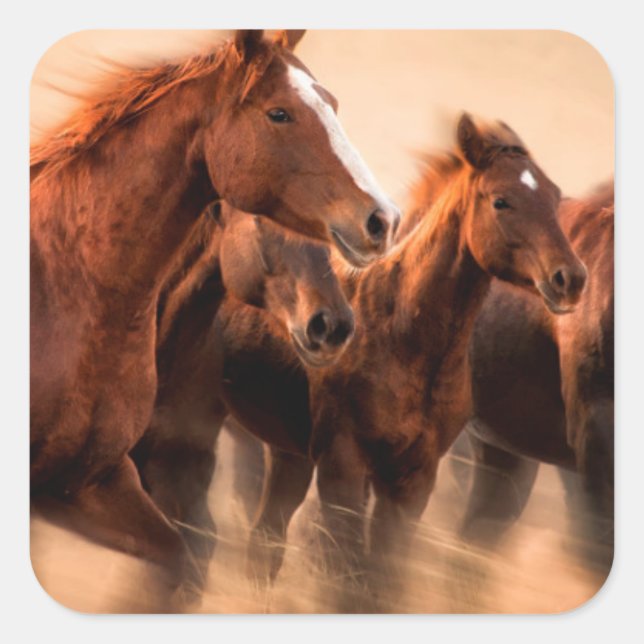 Pegatina Cuadrada Caballos en marcha, mangos borrosos y voladores (Anverso)