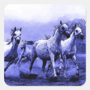 Pegatina Cuadrada Caballos en marcha y luz luna azul