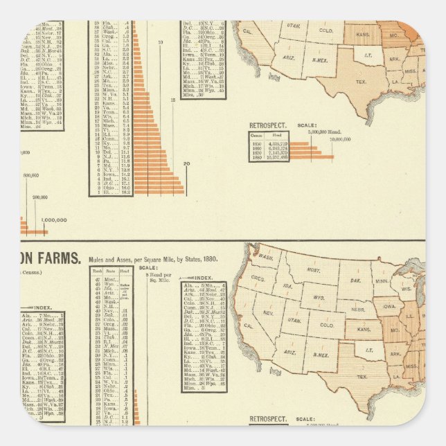 Pegatina Cuadrada Caballos, mulas, asnos, ovejas (Anverso)