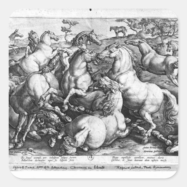 Pegatina Cuadrada Caballos salvajes (Anverso)