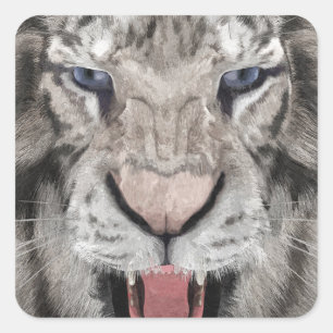 Pegatina Cuadrada Cabeza de Tigre Blanco Estética de Vida Silvestre