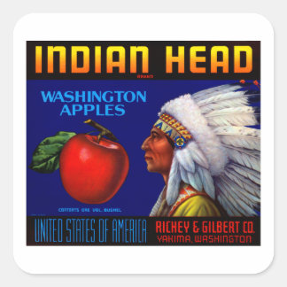 Pegatina Cuadrada Cabeza india de Washington manzanas