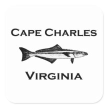 Cabo Charles Virginia Cobia