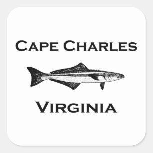 Pegatina Cuadrada Cabo Charles Virginia Cobia