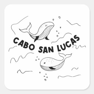 Pegatina Cuadrada Cabo San Lucas México Ballenas