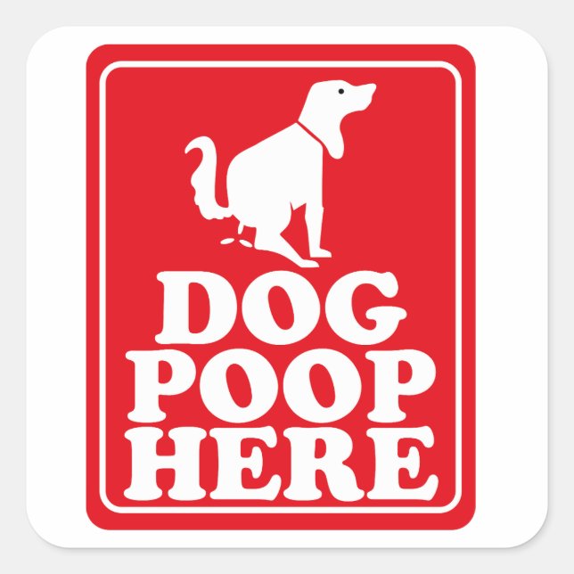 Pegatina Cuadrada Caca de perro aquí (Anverso)