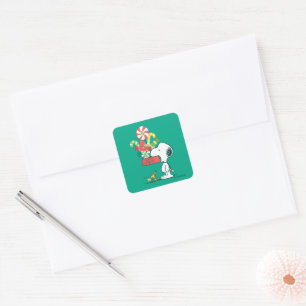 Pegatina Cuadrada Cacahuetes Cuanto Más Lo Más Mentiroso