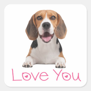 Pegatina Cuadrada Cachorro Beagle Adorable Corazones Rosas Te Aman  