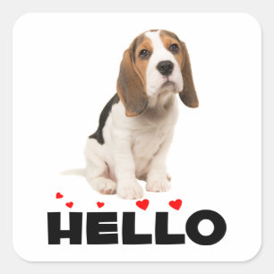 Pegatina Cuadrada Cachorro Beagle Adorable Hola Pensando en Ti Amist