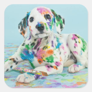 Pegatina Cuadrada Cachorro dálmata