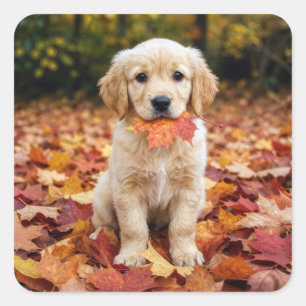 Pegatina Cuadrada Cachorro de Golden Retriever en hojas de otoño