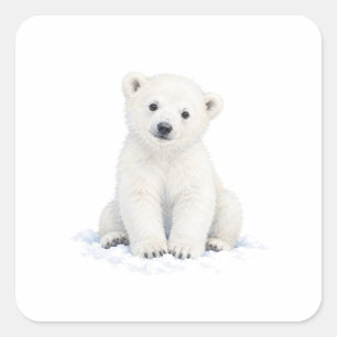 Pegatina Cuadrada Cachorro de Oso Polar Sentado en la Nieve