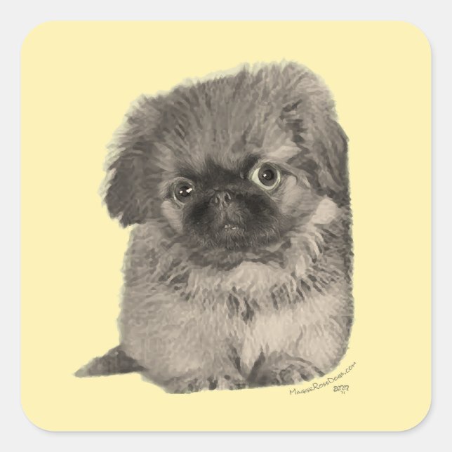 Pegatina Cuadrada Cachorro de Pekín Amarillo (Anverso)