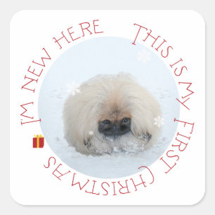 Pegatina Cuadrada Cachorro de Pekín Primera Navidad