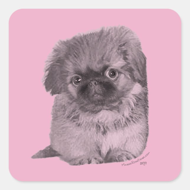Pegatina Cuadrada Cachorro de Pekín sobre rosa (Anverso)