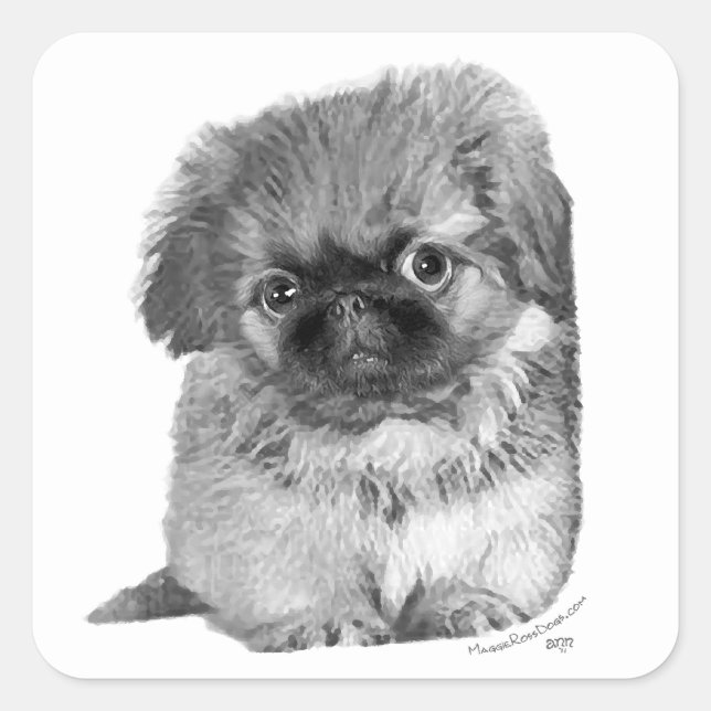 Pegatina Cuadrada Cachorro de Pekinés (Anverso)