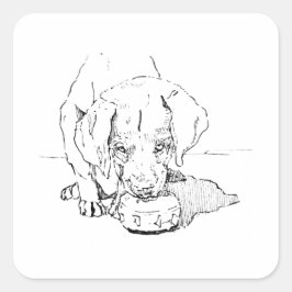 Pegatina Cuadrada Cachorro Labrador para Amante de Perros