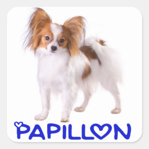 Pegatina Cuadrada Cachorro Papillon - Ama a los Cachorros, Hola