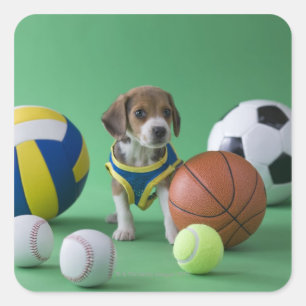 Pegatina Cuadrada Cachorro rodeado de bolas deportivas