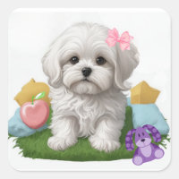 Cachorros malteses con juguetes