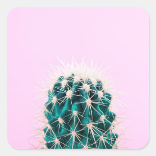 Pegatina Cuadrada Cactus de Prickley en rosa