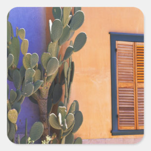 Pegatina Cuadrada Cactus del suroeste (Opuntia dejecta) y