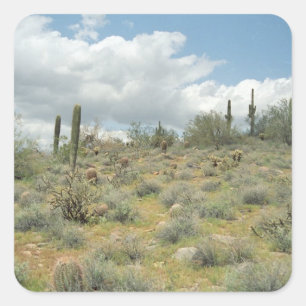 Pegatina Cuadrada Cactus Desert Pastoral Personalizado Decretos Pega
