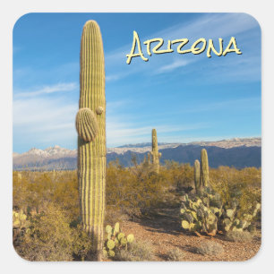 Pegatina Cuadrada Cactus Saguaro de Arizona