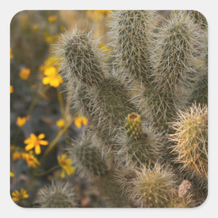 Pegatina Cuadrada cactus y flores silvestres