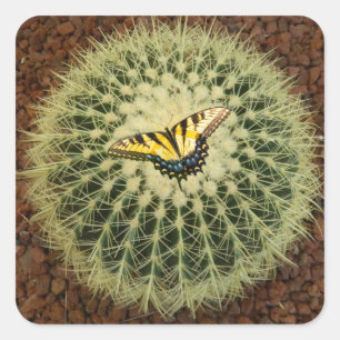 Pegatina Cuadrada Cactus y mariposa