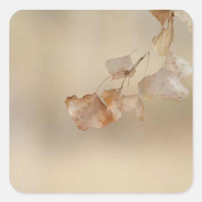 Pegatina Cuadrada cadena de hojas doradas (Anverso)