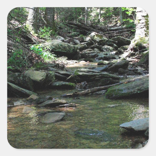 Pegatina Cuadrada Cade's Cove (Anverso)