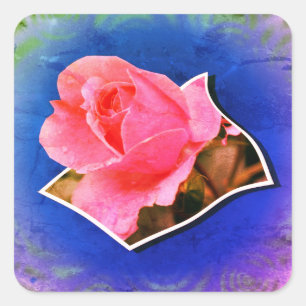 Pegatina Cuadrada Caen las lluvias rosadas de Rosebud