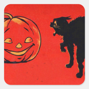 Pegatina Cuadrada Calabaza de Jack O Lantern Gato Negro