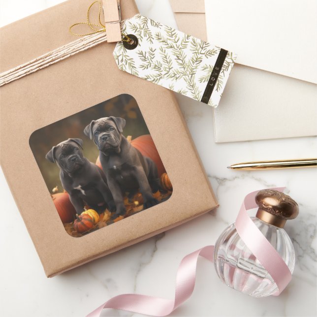 Pegatina Cuadrada Calabaza deslumbrante Caña Corso Puppy Otoño (Regalar)