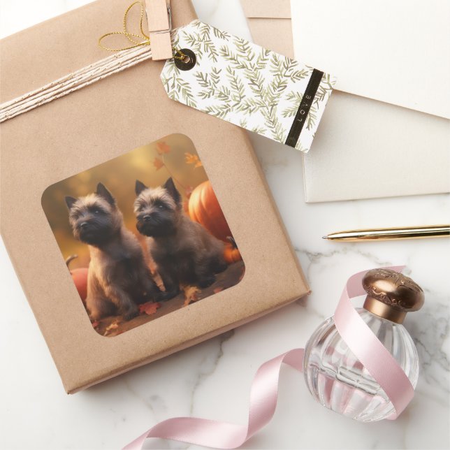 Pegatina Cuadrada Calabaza deslumbrante de Cairn Terrier (Regalar)