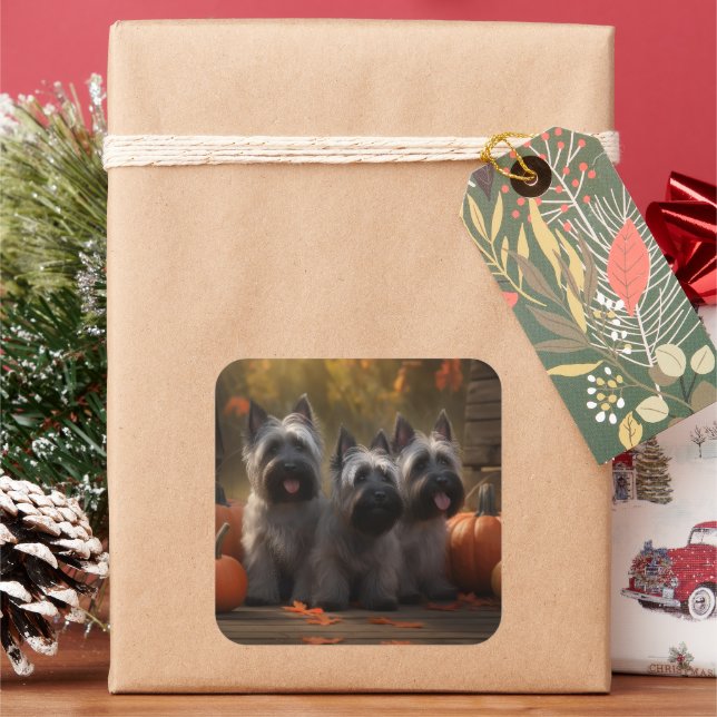 Pegatina Cuadrada Calabaza deslumbrante Skye Terrier Puppy Autumn (Vacaciones)