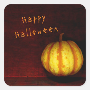 Pegatina Cuadrada Calabaza Levitate - Vida fija