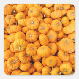 Pegatina Cuadrada Calabazas de cosecha de Naranja pequeño