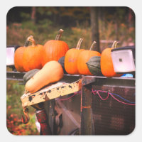 Calabazas En Camión Antiguo