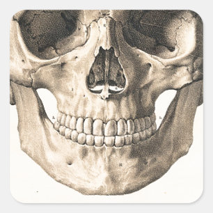 Pegatina Cuadrada Calavera grande, cráneo pequeño