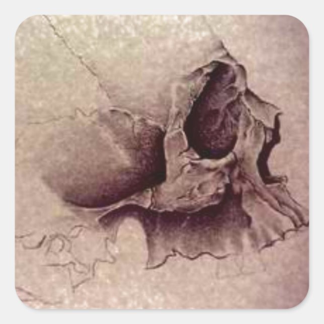 Pegatina Cuadrada calaveras (Anverso)