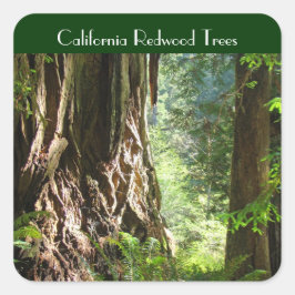 Pegatina Cuadrada Calcomanías de árboles de secuoya de California