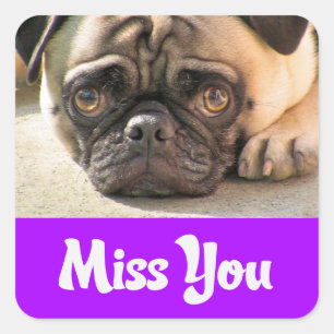 Pegatina Cuadrada Calcomanías de saludo de perro Pug cachorro Te Ext