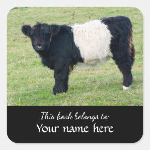 Pegatina Cuadrada Calf Galloway cortado "Este libro pertenece a..."
