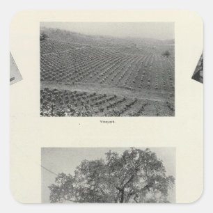 Pegatina Cuadrada California 4