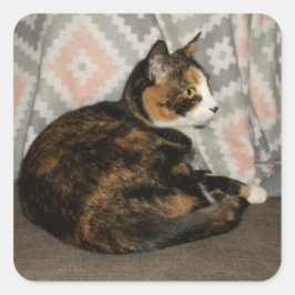 Pegatina Cuadrada Callie Cat en Sofa