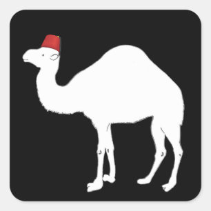 Pegatina Cuadrada Camel Con Un Fez