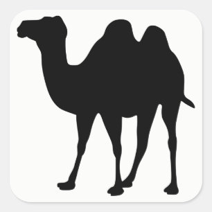 Pegatina Cuadrada Camel Silhouette